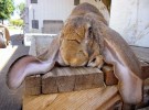 Порода кроликов Большой баран